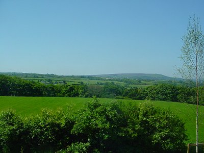 View from back bedrooms - 1